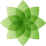 logo.png