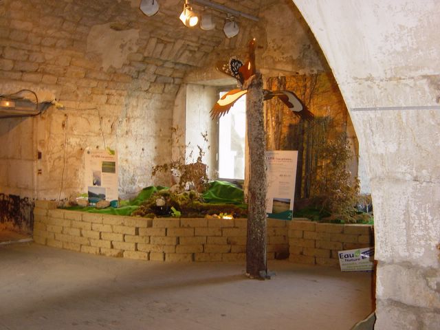 dsc02833.jpg