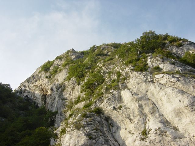 dsc02837.jpg