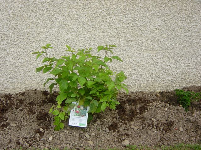 dsc02777.jpg