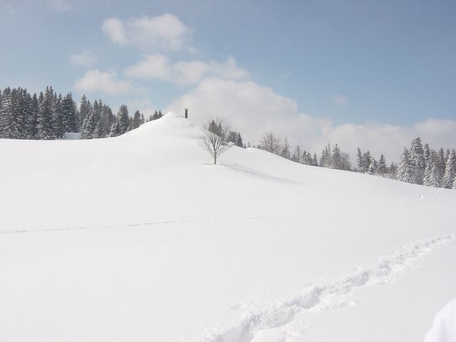 dsc02390.jpg