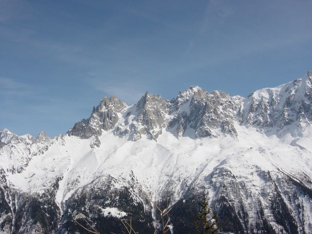 dsc02401.jpg