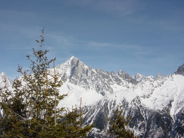 dsc02402.jpg