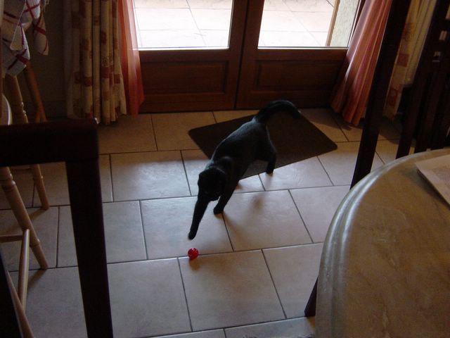 dsc02411.jpg