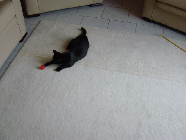 dsc02412.jpg