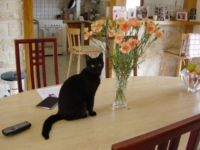 dsc02414.jpg