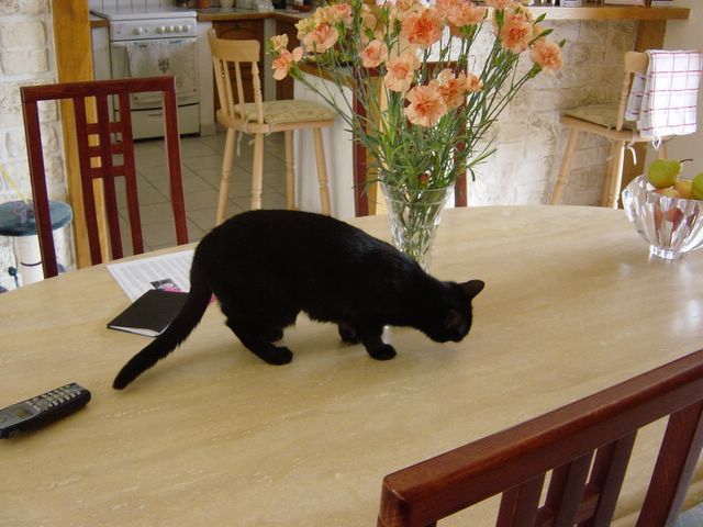 dsc02415.jpg
