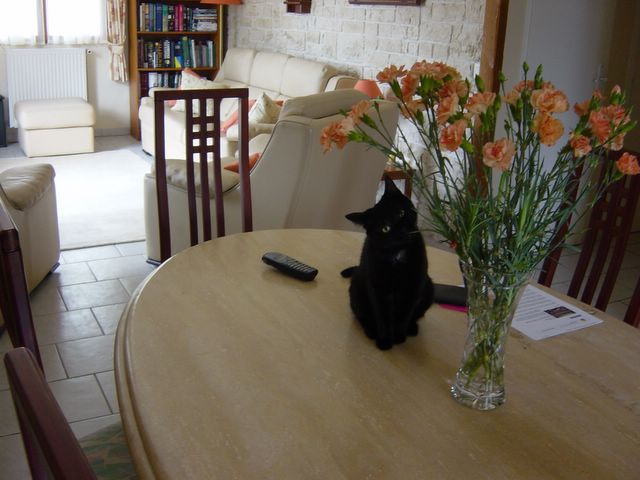 dsc02416.jpg