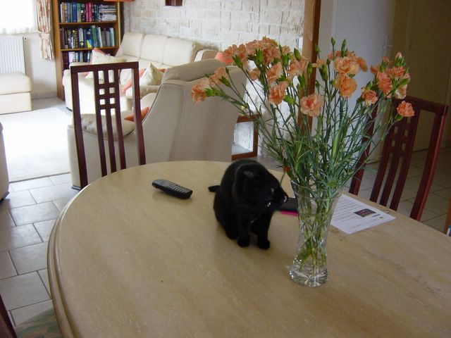 dsc02417.jpg