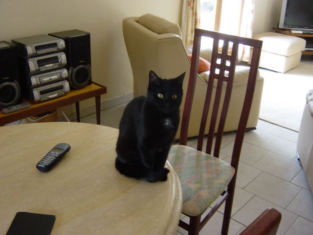 dsc02419.jpg