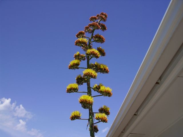 pict0002.jpg