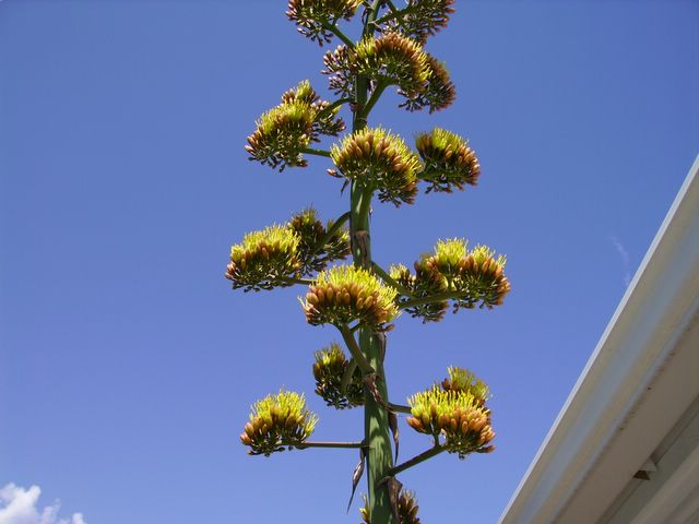 pict0003.jpg