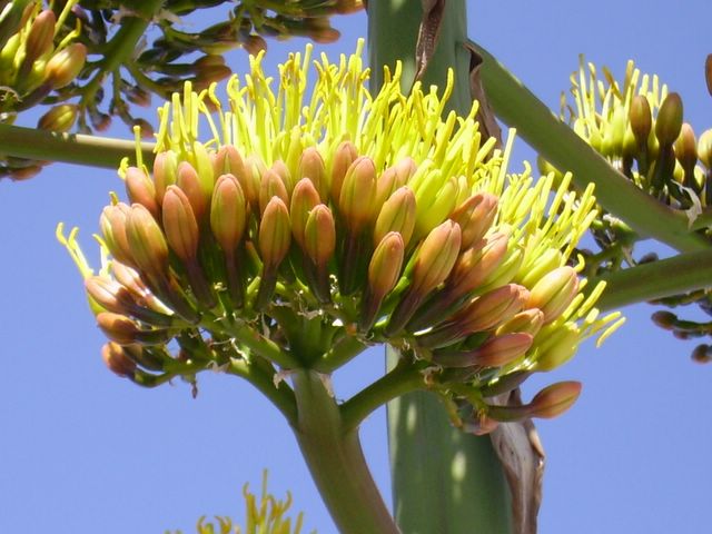 pict0004.jpg
