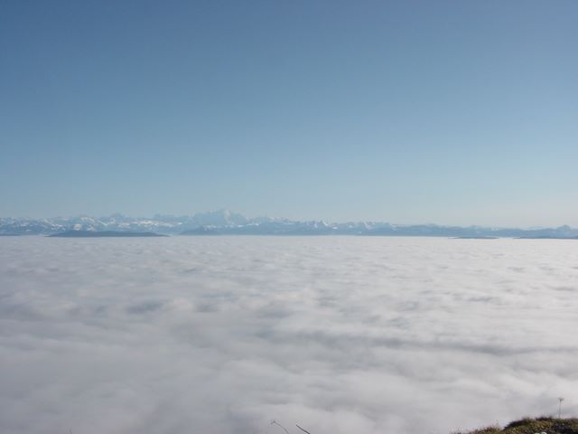 dsc03030.jpg