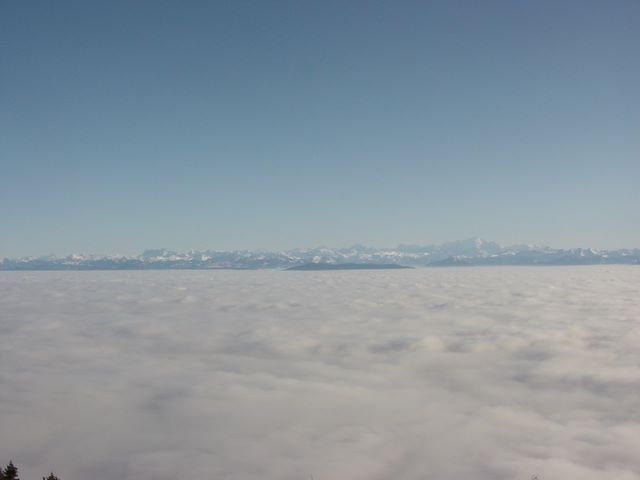 dsc03031.jpg