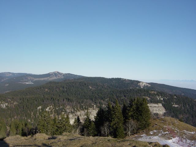 dsc03032.jpg