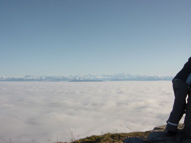 dsc03037.jpg