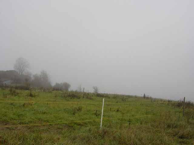 dsc02996.jpg