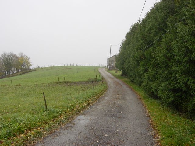 dsc03002.jpg