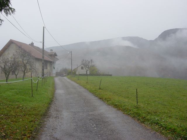 dsc03003.jpg