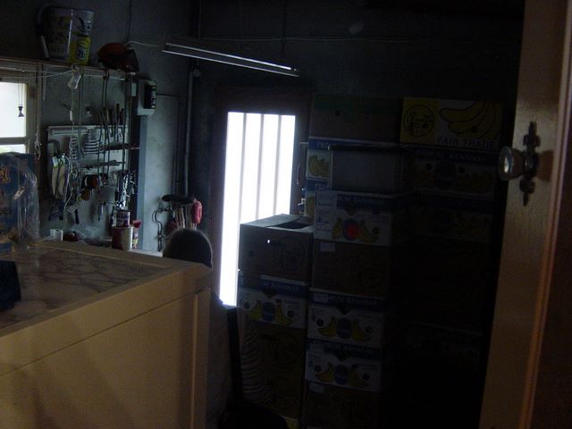 dsc03021.jpg