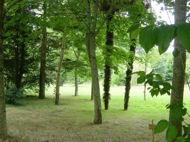 2006_08_04_004.jpg