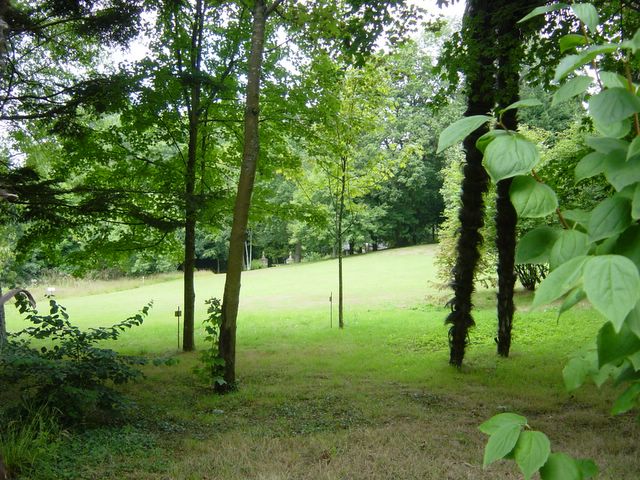 2006_08_04_005.jpg