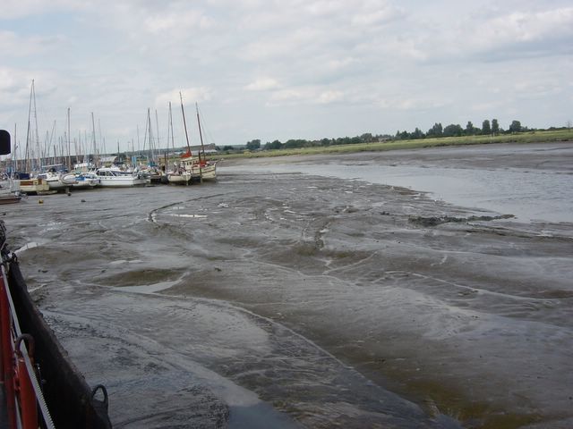 dsc02545.jpg