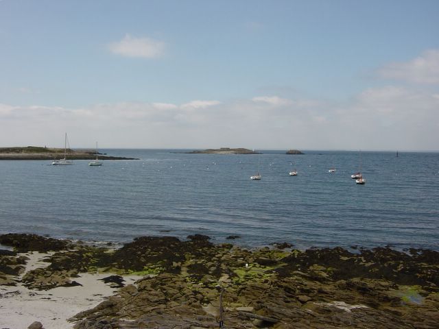 2006_08_03_015.jpg