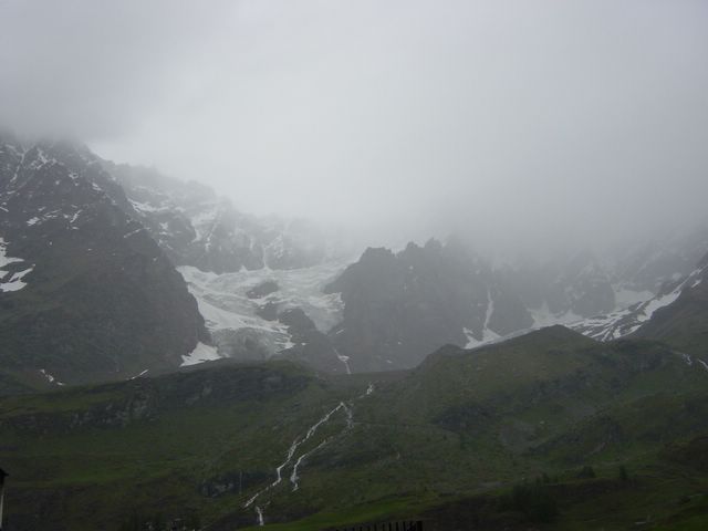 dsc02503.jpg