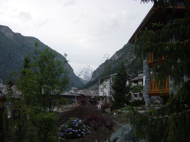 dsc02509.jpg