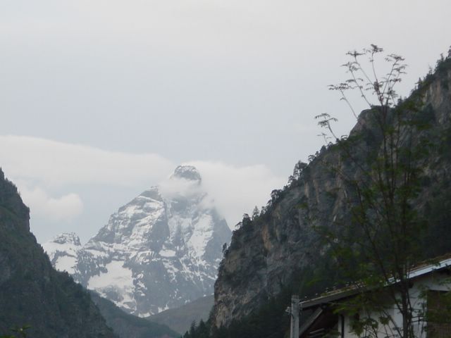 dsc02510.jpg