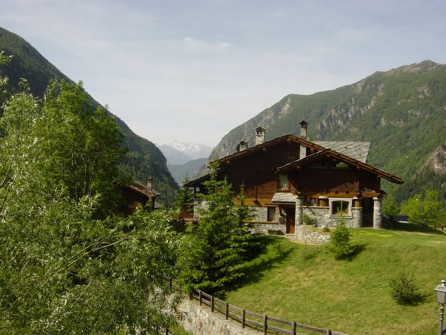 dsc02514.jpg