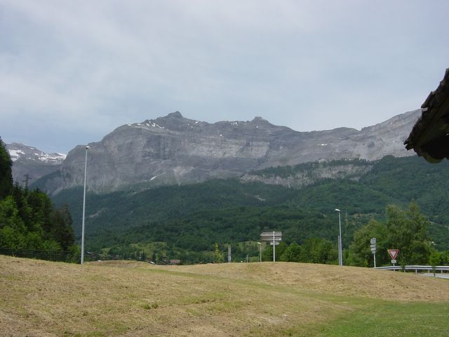dsc02520.jpg