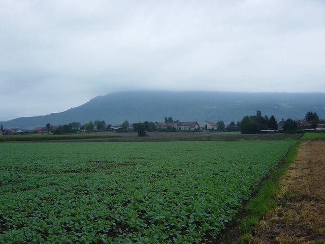 dsc02875.jpg