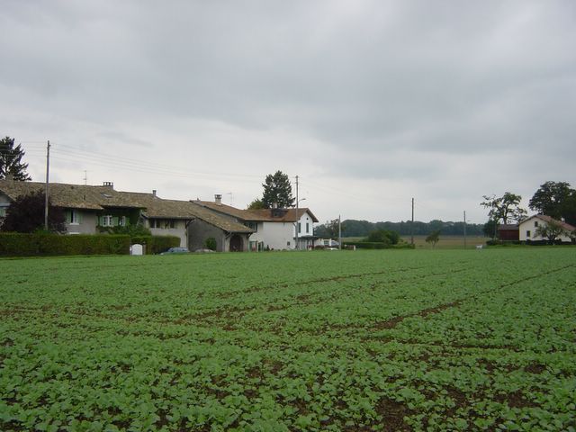 dsc02876.jpg