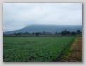 dsc02875.jpg