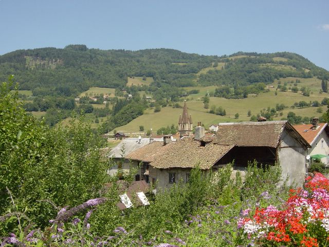 dsc02549.jpg