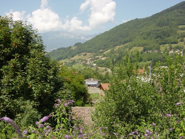 dsc02550.jpg