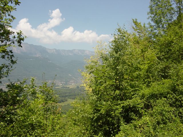 dsc02557.jpg