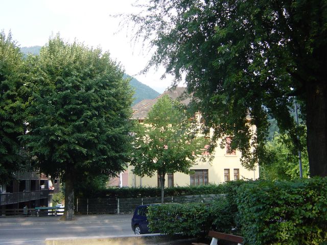 dsc02571.jpg