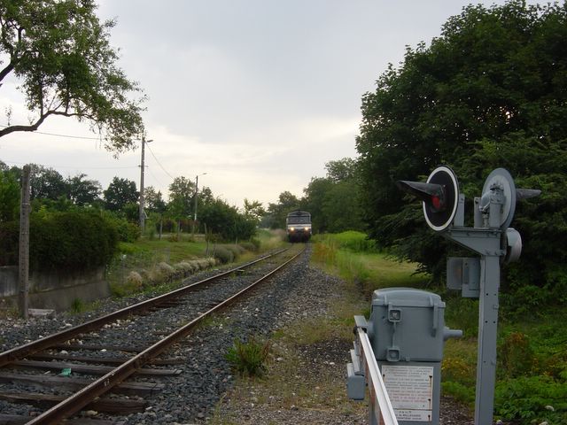 dsc02579.jpg