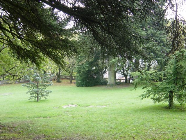 dsc02903.jpg