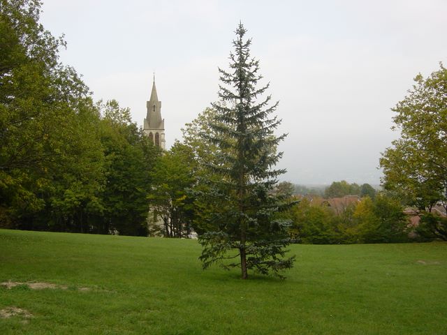 dsc02904.jpg