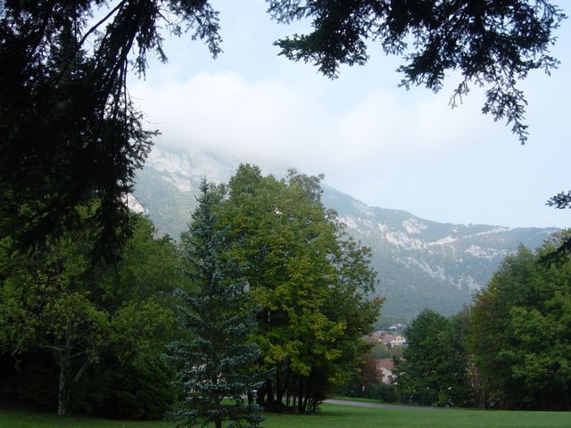 dsc02905.jpg