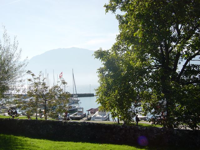dsc02919.jpg