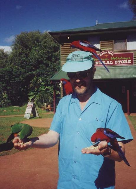 bunya.jpg