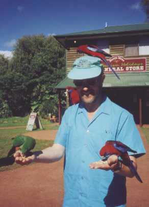 bunya_small.jpg