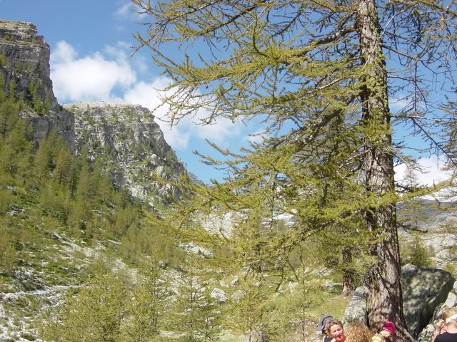dsc02717.jpg