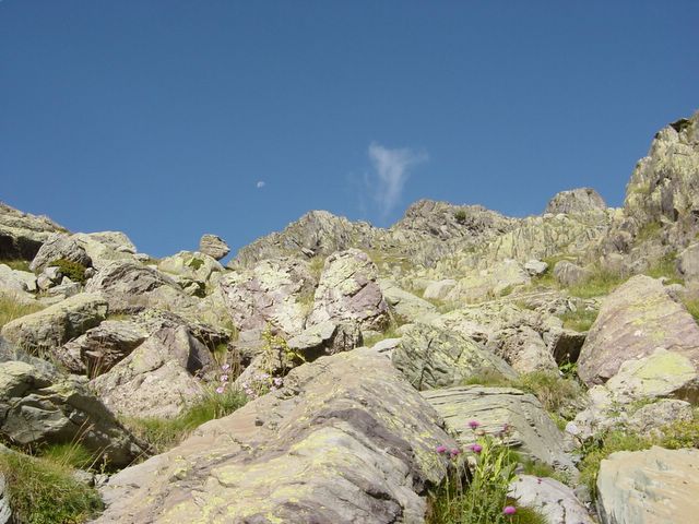 dsc02725.jpg